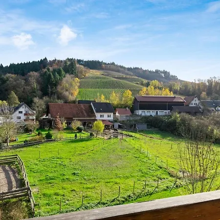 Apartment Haus Am Baechle, Naehe Europapark Und Strassburg Oberkirch (Baden)